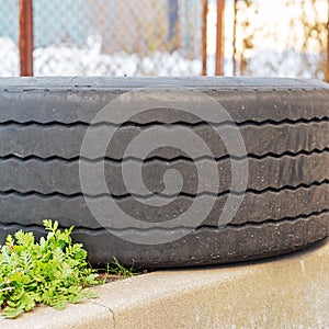 Worn out tire of heavy vehicle lying on the ground.