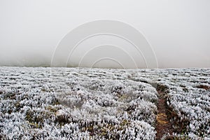 Worn path on frozen mountain grass with fog on the horizon. photo