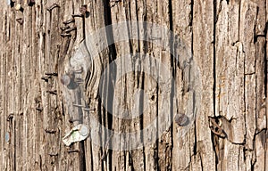 Worn Telephone Pole Texture and Background