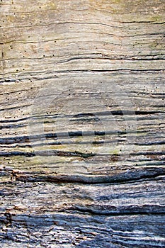 Worn wood