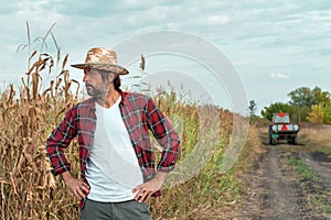 Worried corn farmer looking over at cornfield in bad condition
