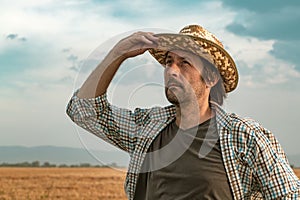 Worried farmer in barley field on a windy day