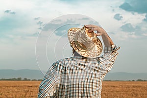 Worried farmer in barley field on a windy day