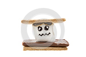 Worried Marshmallow in a Smore