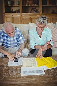 Worried senior couple checking bills in living room