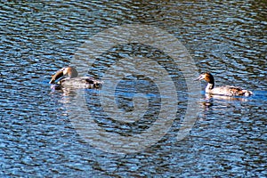 Wortington Reservoir,Standish, Wigan, UK