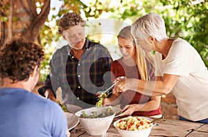 Would you like a little more. A view of a family preparing to eat lunch together outdoors.