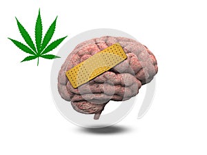 Wounded Brain with Marijuana