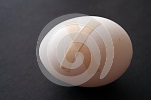 Wounded egg