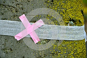 Wounded nature concept