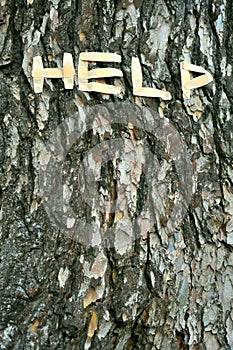 Wounded nature concept