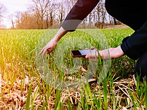 Woung agriculture woman biologist inspecting the harvest