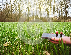 Woung agriculture woman biologist inspecting the harvest