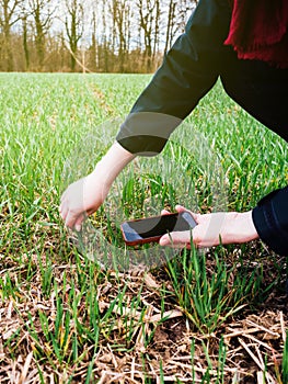 Woung agriculture woman biologist inspecting the harvest