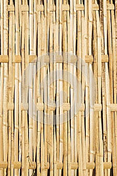 Woven Bamboo Fence Panel