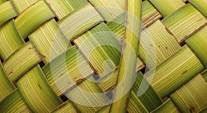 Woven Bamboo Texture Pattern Background