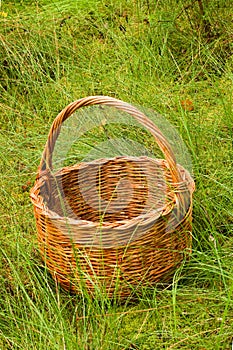 Woven basket in the grass