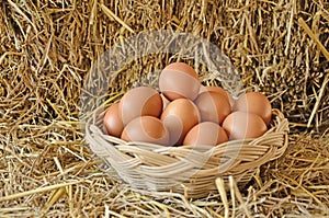 Woven rattan basket of eggs on straw floor