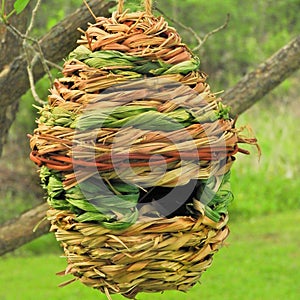 Woven reed nest attracts birds
