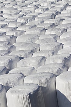 Wrapped bale silages