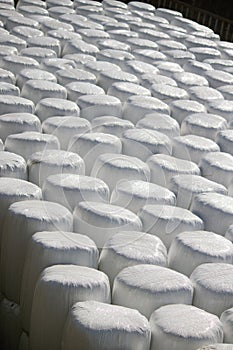 Wrapped bale silages