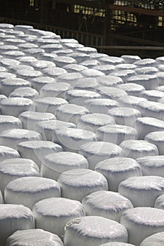 Wrapped bale silages