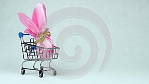Wrapped Easter egg is placed into the toy shopping cart during Resurrection Sunday or Christian feast Pascha