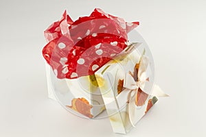 Wrapped gift box present