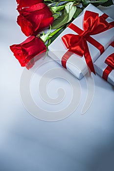 Wrapped gift boxes natural roses on white background