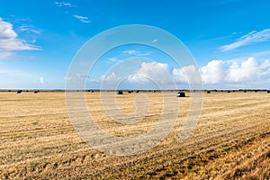 Wrapped Hay Bales in a Filed and Blue Sky