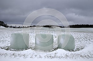 Wrapped hay bales in the snow