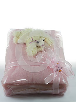 Wrapped pink blanket with puppet dog