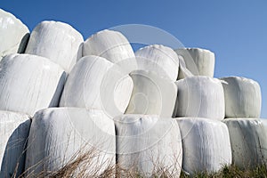 Wrapped and stacked hay bales with blue sky in the background