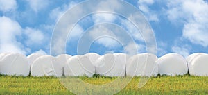 Wrapped stacked silage bales row, isolated round white plastic film hay rolls, haylage stack rows panorama, horizontal grassland photo