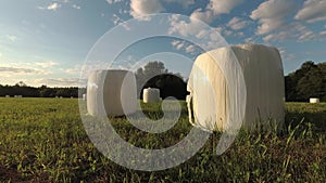 Wrapped white hay bales on meadow, time lapse