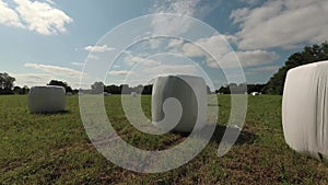 Wrapped white hay rolls on meadow, time lapse