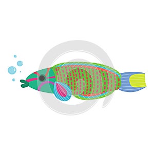 Wrasse fish animal cartoon character vector illustration