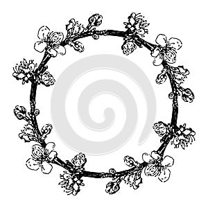 A wreath of blooming apricot branches. Vintage Insulated Element Round Frame Blooming Tree Branch with Black Line on White, Hand-