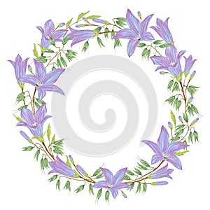 Wreath with blue bluebells flowers and oat. Collection floral design elements for wedding invitations and birthday cards.