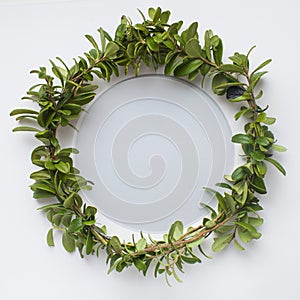 Wreath Of Blueberries Leaves