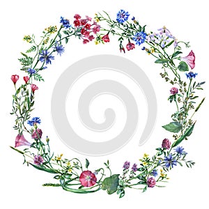 Wreath border frame with summer herbs, meadow flowers.