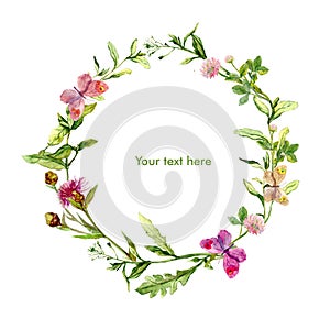 Wreath border frame with wild herbs, meadow flowers, butterflies. Watercolour photo