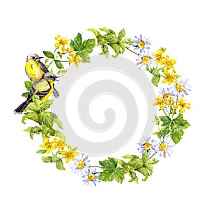 Wreath border - two birds. Meadow flowers, grass. Watercolor circle frame