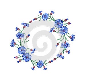 Wreath of bouquets of blue cornflowers in watercolor