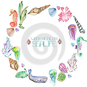 A wreath (circle frame) with the watercolor shells, seahorses, jellyfish, seaweed and other sea elements