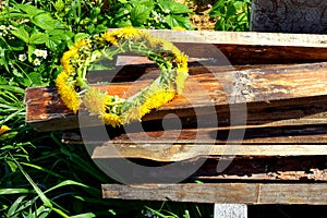 A wreath of dandelions lies on wooden planks. A braided wreath of yellow flowers.