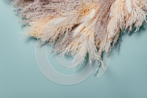 Wreath from Dried Pampas Grass