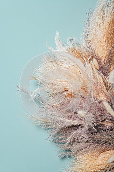 Wreath from Dried Pampas Grass