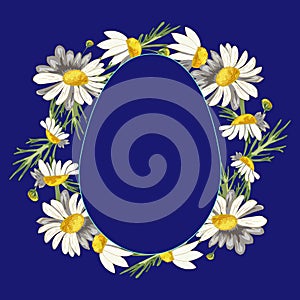 wreath of field daisies with a plate in the form of an egg on a phantom blue background.