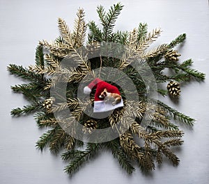 on a wreath of fir branches and cones of gold color lies and sleeps on the head of Santa Claus dog - the symbol of the 2018 New Y